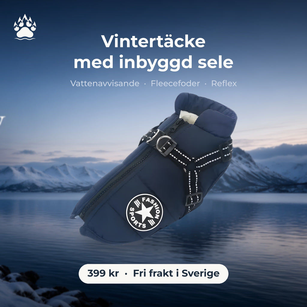 Marinblått vadderat hundtäcke med inbyggd sele och reflexsömmar, fotograferat mot en snöig fjord i blå timmen. Text: Vintertäcke med inbyggd sele, 399 kr, fri frakt i Sverige.