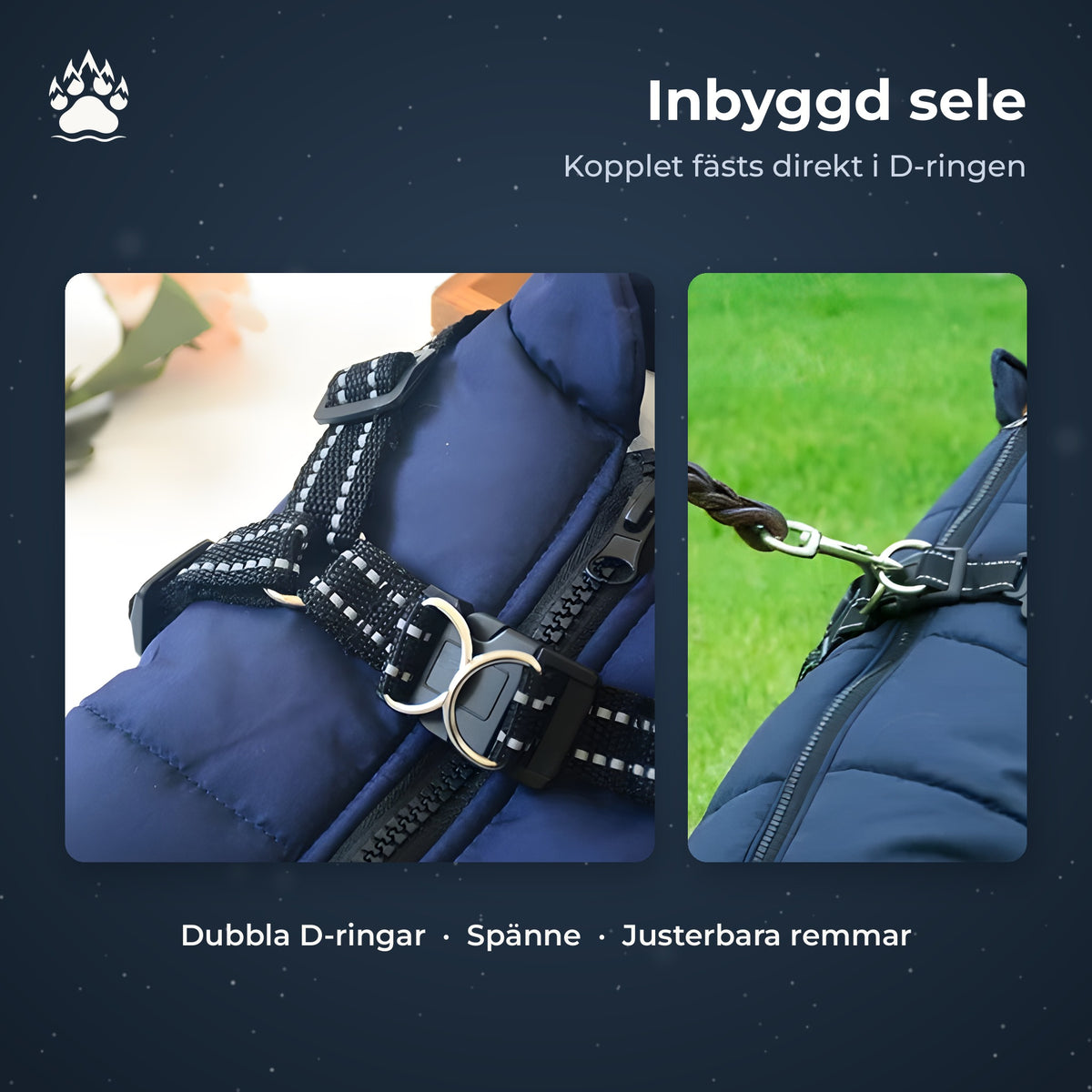 Närbild på den inbyggda selen på ett marinblått täcke: remmar med reflexsömmar, spänne och dubbla D-ringar, samt ett koppel fäst i D-ringen på ryggen.