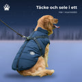 Golden retriever i marinblått vintertäcke med inbyggd sele och koppel, sittande i snö i skymningen.